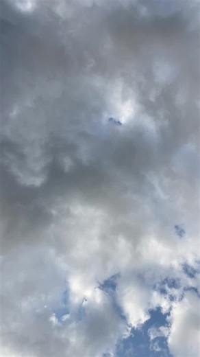 this has quickly become the favorite part of my day. my little shell path sunset walk 🐚🌅