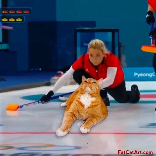 The 2026 Winter Olympics are on😻 And here goes cat curling! 🥌😹⁠ Zarathustra the Cat is forever champion, and cat David Bowie is keeping Zarathustra's legacy ❤️️ 😻⁠ #FatCatArt #curling #catcurling #olympics #Olympics2026 #WinterOlympics⁠ #zarathustralive #zarathustraforever | Fat Cat Art