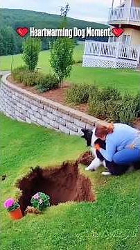 He Knew Exactly What To Do — Heartwarming Moments 🐾❤️