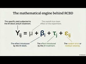 Mastering Randomized Complete Block Design (RCBD) | Experimental Design Explained | Affordable Tutor