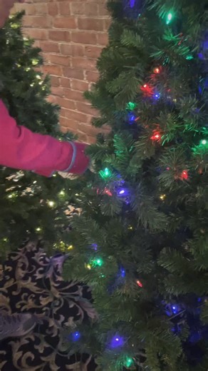 🎄HOLIDAYS AT THE CAPITOL ARE BEGINNING!🎄 From our Festival of Lights and Trees to Hansel & Gretel- The Sticky & Sweet Panto, volunteers, cast, & crew are hard at work preparing the theatre for your holiday visit! Join is Nov 22 - Dec 31 to celebrate the holidays! Link in our bio for more information. | Capitol Theatre Port Hope