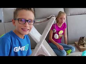 SIS vs BRO! Testing Cat Toys on our Cats!!!!