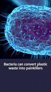 3K views · 21 reactions | From plastic bottles to painkillers? A...