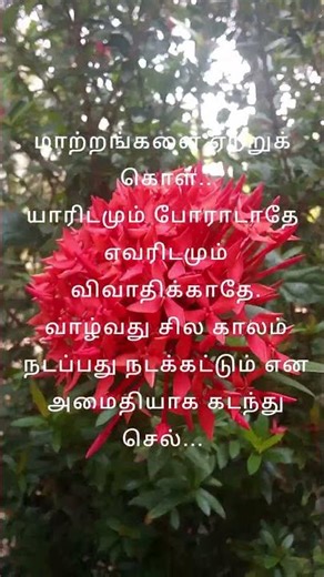 #tranding #songs #music #kavithai 🌺🌺🌺