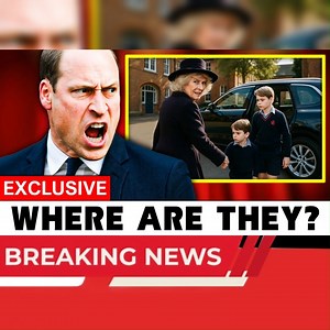 38K views · 690 reactions | Royal Scandal: Camilla Secretly Abducts William’s Children, Disguises Plot as Routine School Pickup! Watch full: https://autulu.com/hxjy Queen Camilla orchestrated the shocking abduction of Prince George and Princess Charlotte, sparking a nationwide search and royal scandal. William fought back, exposing Camilla and saving his children. | Diana’s Legacy | Facebook