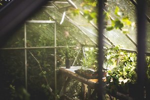A Quick Guide to Greenhouse Misting Systems