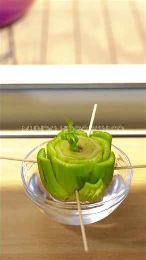 Learn to grow your own food 🍅🥬 in your own hydroponic garden at home #Hydroponics