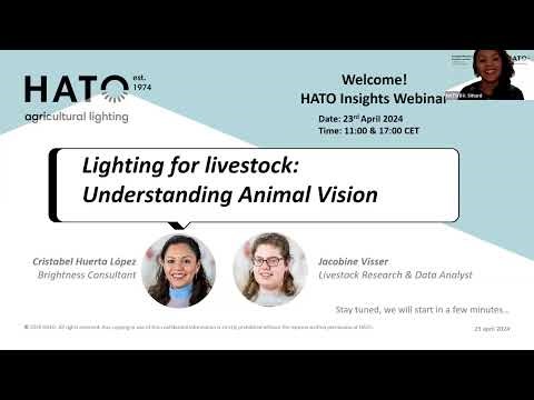 Better Vision, Better Welfare: Creating the Ultimate Light Climate