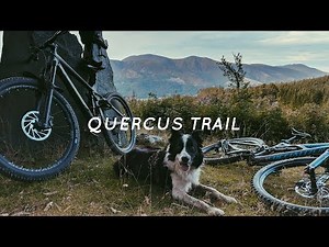 Mountain Biking Whinlatter Blue Route | With Red the Trail Dog