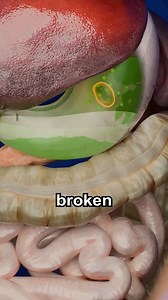 Why Farts Smell Bad 🤢 | SimpliHow