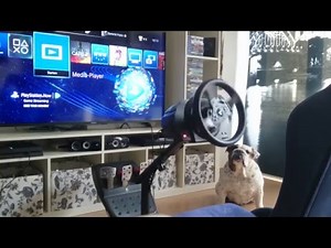 Thrustmaster T300 RS calibration failure