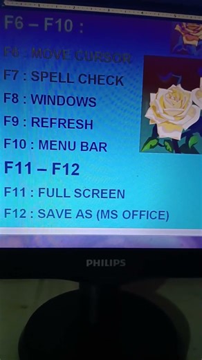 #f1 #f12 #function #key #shortcuts #computer #art #computer