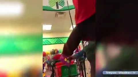 Flashed my big dick to these two MILFs in public while I jerked off. One of them noticed, smiled and gave me a handjob right there These old females are so naughty. More on https://t.co/39UMD4YTAB