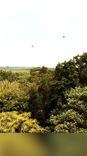 Exploring Film and Cinema: A Cinematic Journey