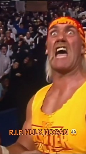 Mr.T - Vintage Toys on Instagram: "Hulk Hogan non c'è più, R.I.P 梁 #hulkhogan #wrestler #wrestling #wrestlemania"