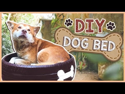 DIY Dog Bed Using Old Tire w/ Simple Tools (2020)