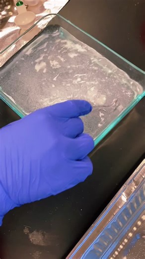 Made edible water blobs a few weeks ago in Chemistry class with my lab partner Macy💧#chemistry #waterblob