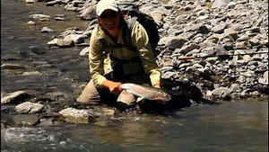 88K views · 952 reactions | A quick word on refusals and fly changes....