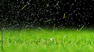 Golf club hits a golf ball in a super slow motion at 1000 fps.