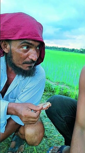 কোন কোম্পানির বিড়ি