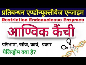 आण्विक कैंची | restriction enzymes | molecular scissors in Hindi | Restriction Endonuclease Enzymes
