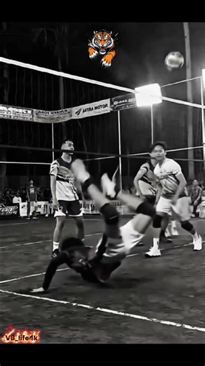 Viral Volleyball setter. 🐯[subscribe] #haikyuu #setter #viral