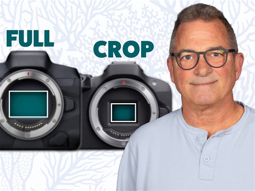 Full Frame or Crop APS-C Sensor for Underwater Photography? [VIDEO]