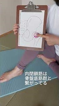リボールケア＃股関節安定・骨盤底筋