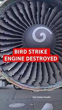 Bird Strike Aftermath Shocking Jet Engine Damage! ✈️🐦 #shorts