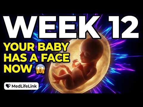 Week 12 Pregnancy Baby Fully Formed, What To Eat, Avoid, Sleep & Exercise Complete Guide