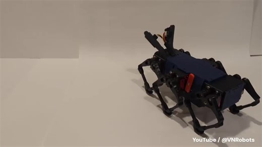 #biomimeticrobotics #hexapodrobot #sixleggedrobot #stagbeetlebot #walkingrobotics #biomimicry #insectrobotics #terrainnavigation #diyrobotics #vnrobots #natureinspiredtech #locomotionrobotics… | Roshan Bhagat