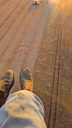 Combine Harvester in Expansive Sunset Field