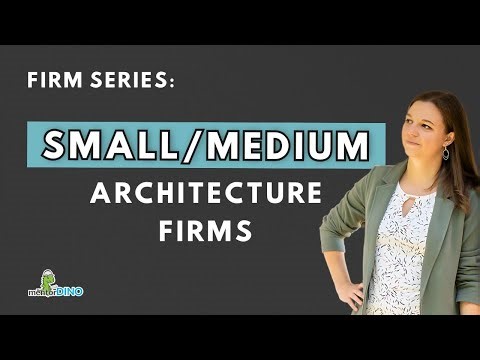 Firm Series: Small & Medium Firms