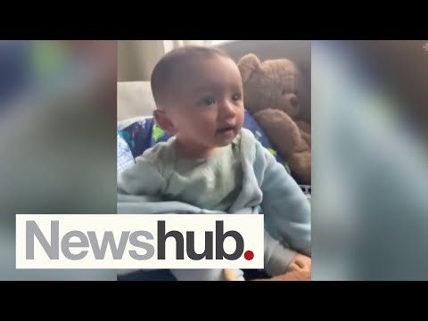Police treating death of Lower Hutt toddler as homicide as investigations continue | Newshub