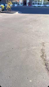 It’s time to decorate tree number four | btypep