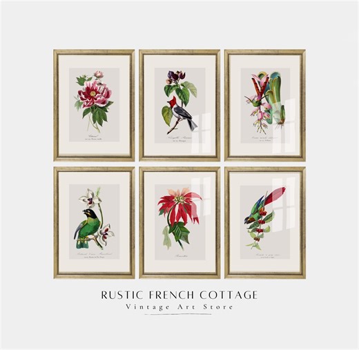 Vintage Botanical Art Flowers & Tropical Birds | Antique Natural History Illustration Download | Colorful Botanical Illustration Collection - Etsy