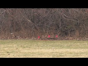 Cleveland police say bodies of two young girls were found in suitcases; investigation ongoing