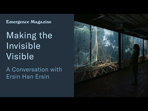 Making the Invisible Visible | Emergence Magazine Podcast