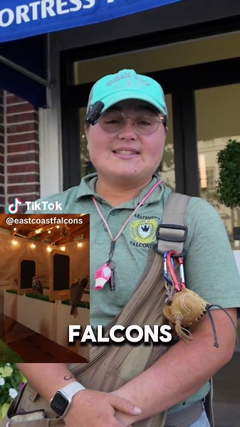 Meet Ozzy, our owl and the ultimate ambush predator 🦉 #owl #wildlife #birds