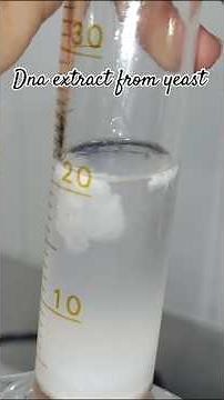 Dna extract from yeast #laboratory #science #medlab #scientificjourney #lab #experiment #dna #shorts