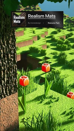 Top Realistic Texture Pack for Minecraft - Realism Mats Texture Pack