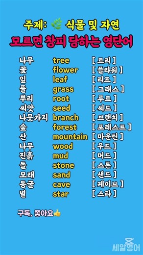 모르면 창피 당하는 영단어 (주제: 🌿 식물 및 자연) #왕초보영어 #영어단어 #영어
