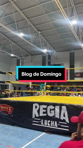 Blog del domingo 💪 #luchalibre #luchalibremexicana #blog #domingo #familia @Regia Lucha