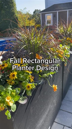 Vanessa Monardo on Instagram: "Loving this rectangular planter design for fall using @veradek rectangular planters ✨ Comment FALL for the link!"