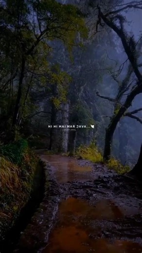 Hi Hi Mai Mar Java Tere Bin ll Aesthetic slowed lyrics ll # song #lyrics #video