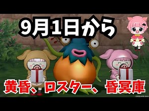 [Dragon Quest 10] Twilight Chronicles, roster themes, the Dark Vault, the Otherworldly Arena, and...