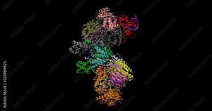 Crispr-cas 9 / Type I CRISPR-Cas System in cartoon ribbon representation, spinning on Y axis, 4K