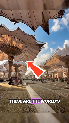 5.1K views · 34 reactions | The World’s Largest Umbrellas Discover...