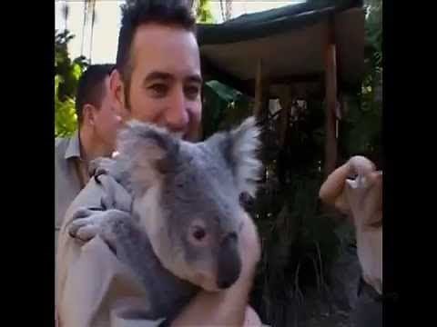 The Wiggles on Croc Diaries - Croc Live!