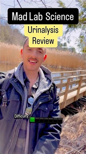 Urinalysis Review - Orange Urine